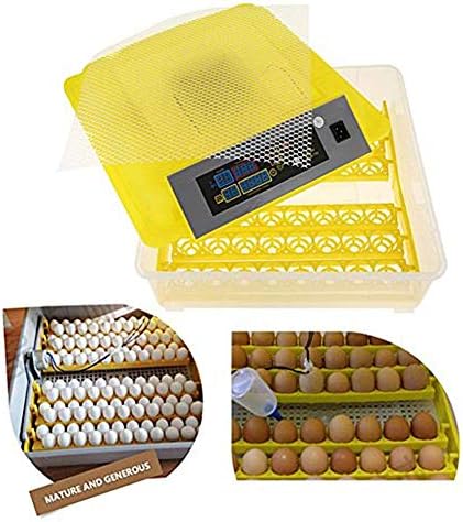 lzdasczz Kuluçka Otomatik Dönüm 48 Yumurta Dijital Sıcaklık Nem Kontrolü ıçin Tavuk Kaz Ördek Kümes Çıkım (Boyut: 110 v)
