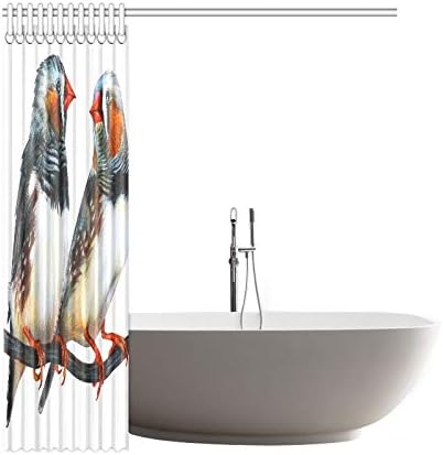 WBSNDB Ev Dekor banyo Perdesi Zebra İspinoz Çizim Taeniopygia Guttata Polyester Kumaş Su Geçirmez Duş Perdesi Banyo için, 72X72