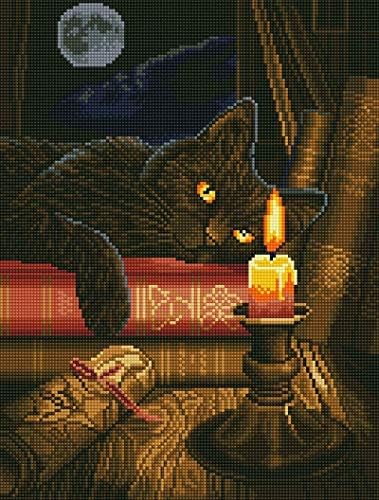 Elmas Sanat Merkezi 5D DIY Elmas Boyama Tam Yuvarlak Cadı Siyah Kedi Mozaik Çapraz Dikiş Kitleri El Yapımı Tuval Hayvan Resim
