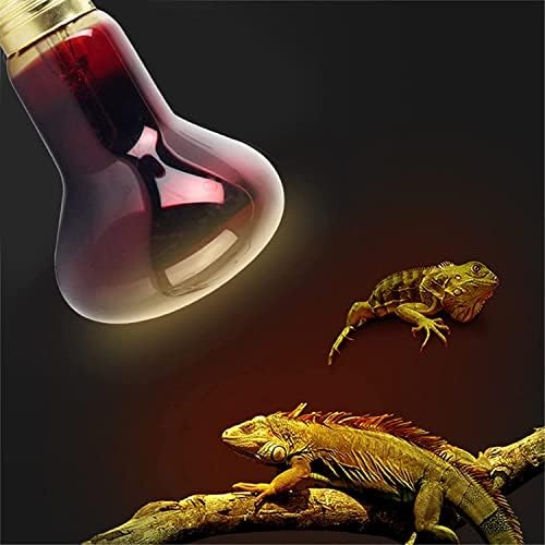 BDRWXZ sürüngen ısı lambası, 60 W / 100 W Pet ısıtma lambası kızılötesi seramik verici ısı ampul Pet Brooder sürüngen 220-240