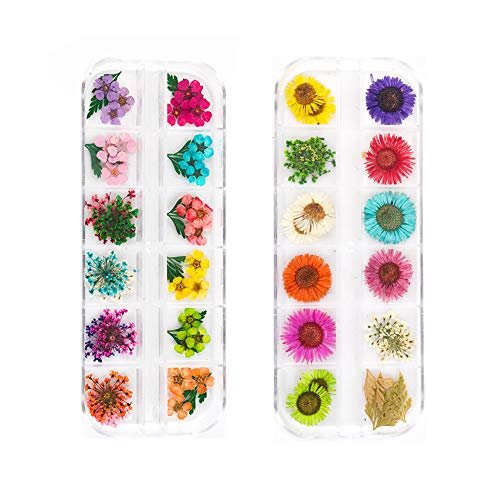 UOROMİNE Kurutulmuş Çiçekler Nail Art Tasarım Dekorasyon Malzemeleri Gerçek Doğal Çiçekler Manikür Nail Art Dekorasyon 2 Kutuları