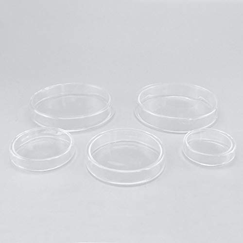 laboratuvar Cam petri kabı, Doku petri kabı, Kültür Kabı, Petree Yemekleri, Laboratuvar Bilimi için Kültür Petri tabağı, 120