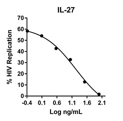 Humankine Rekombinant İnsan IL-27 100ug