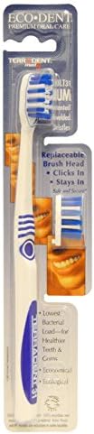 Eco-Dent-TerraDent Yetişkin Diş Fırçası 31 Orta Fiyatlı