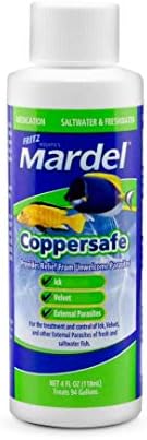 Fritz Mardel-Coppersafe-4 ons